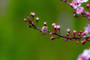 biniasz und partner akademie | beratung | coaching uncategorized16