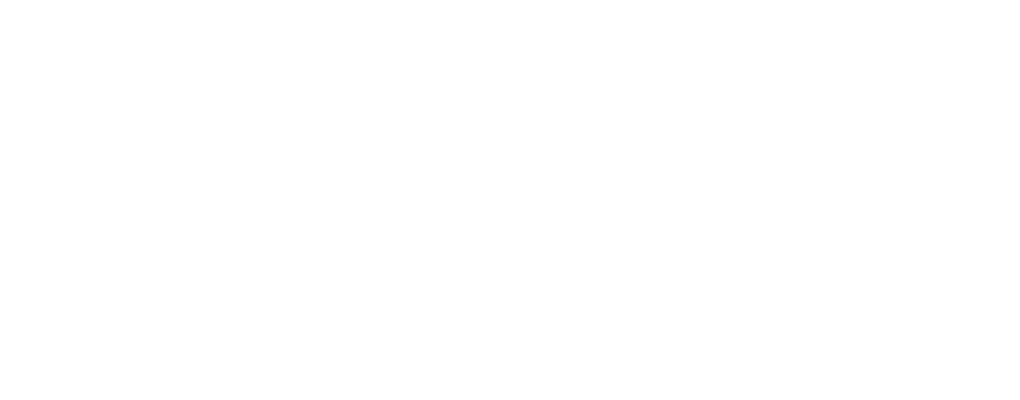 biniasz und partner akademie | beratung | coaching logo05